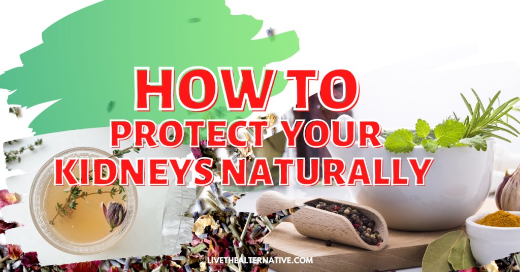 How To Protect Your Kidneys Naturally - Live The Alternative