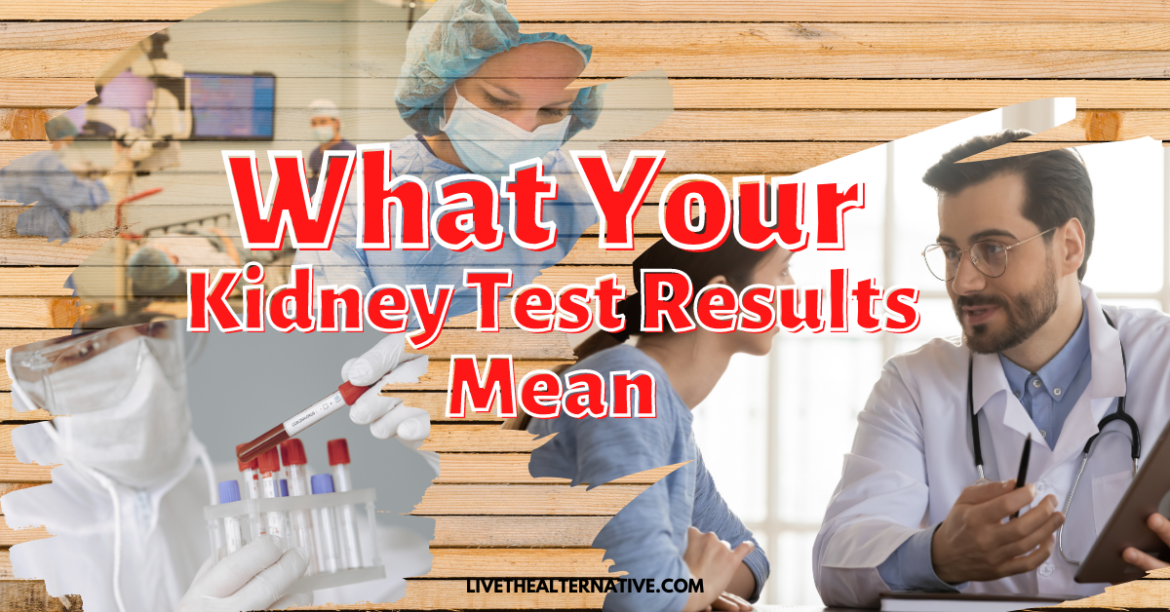What Your Kidney Test Results Mean – GFR, Creatinine Clearance, etc.